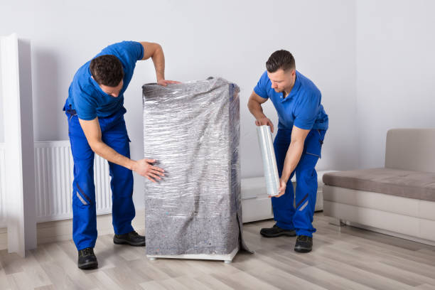 Two Young Male Movers Packing Furniture In Living Room
